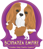 Bonanza Empire
